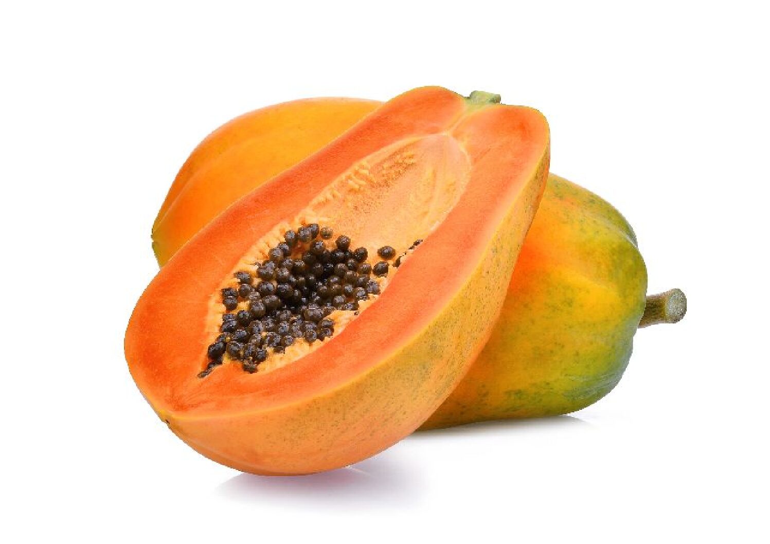 PAPPAALI - 1 PCS