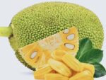 JACKFRUIT 5 KG